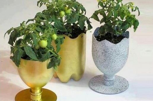 #htmlcaption_1997 DIY Ideas – Plastic Bottle Plantation
