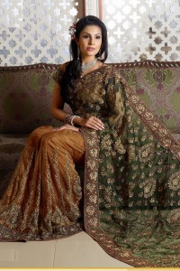 Handmade Saree Styles - Greenish embroidered Saree
