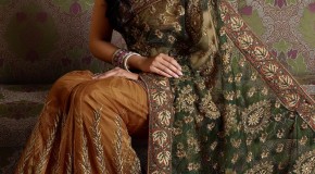 Handmade Saree Designs / Styles
