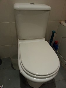 Broken Toilet Tank