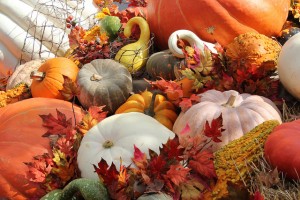 Harvest festival at Dollywood