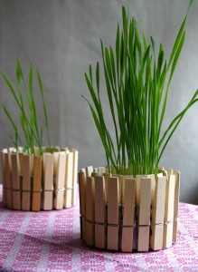 Peg Plant Pot