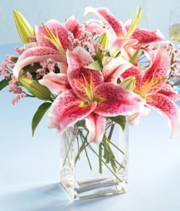 A Burst of Lilies