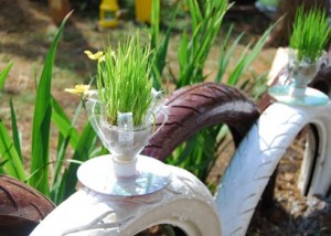 DIY Flower Pots using CDs and Plastic Bottles