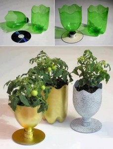 DIY Ideas - Plastic Bottle Plantation
