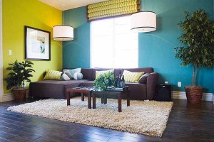 Color Combination Living Room