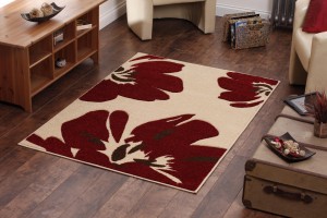 Beautiful Oriental Rug