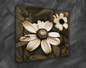 Awsome Flower Canvas Print