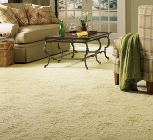 Light Colored Carpet