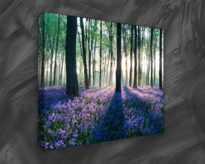 Spring Season Canvas Print