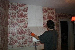 Removing Wall Paper