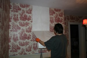 Removing Wall Paper