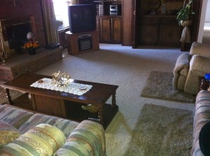 Carpet Floor in Living Room