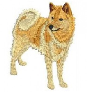 Embroidery digitizing