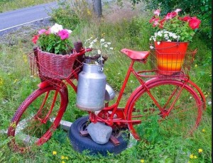 Bicycle Plantation