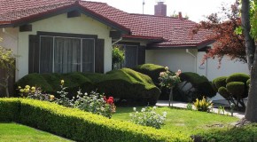Tips To Get A Well Designed Home And Garden