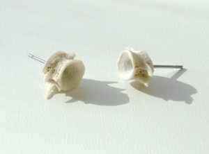 Vertebrae Stud Earrings